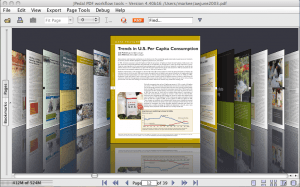 Pageflow view of a PDF file Pageflow view of a PDF file